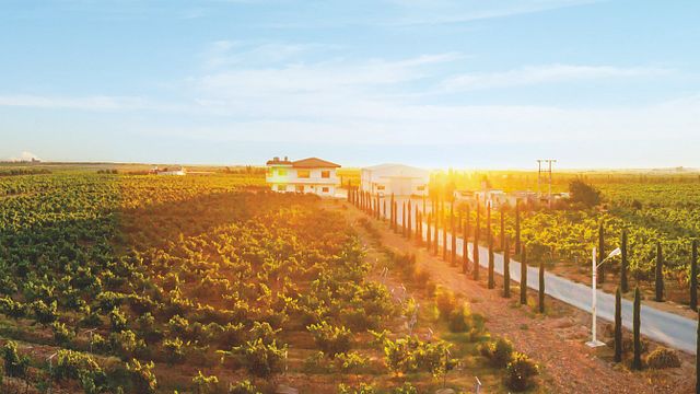 Degustação de vinhos na JR Wines