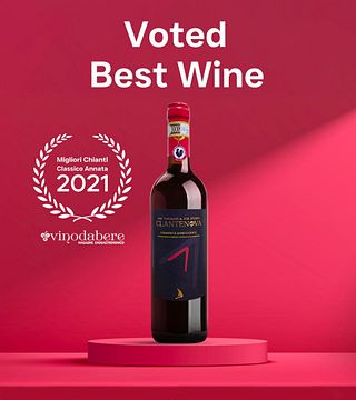 Cata de vinos ligeros, visita a viñedos y experiencia en bodega – Granja orgánica