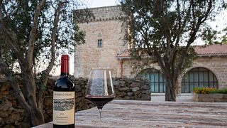 Taste Puglia Wines at Masseria Fano