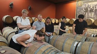 WSET Nível 1 em Vinhos