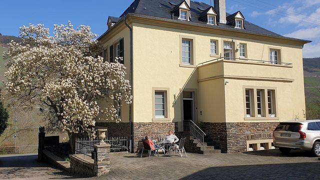 Dégustation de vins à la cave SA Prüm