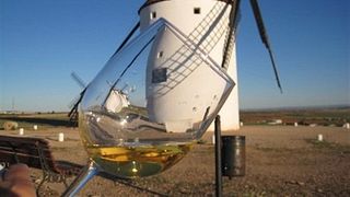 Momish Wine Experience: A Taste of Tradition