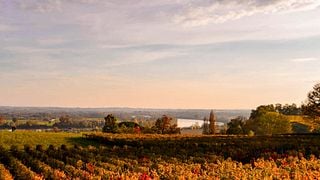 Bordeaux Bike & Wine Terroir Tour