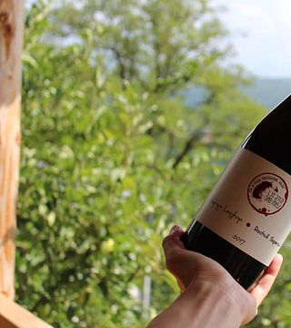 Degustazione di vini e tour presso l'azienda vinicola Sad Meli