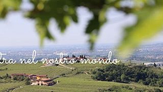 Le Bignele Winery