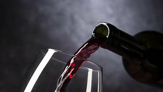 Dégustation et visite de vins chez Morvalley Douro Wines