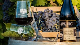 Weinprobe und Führung in der Cantina Meroni