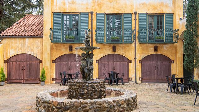 Degustazione di vini