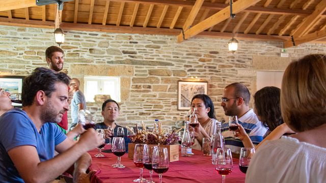Visite historique de la vallée du Douro - Villages anciens, vignoble, croisière et déjeuner