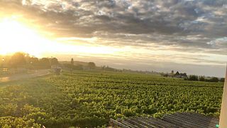 Chateau La Rose Monturon