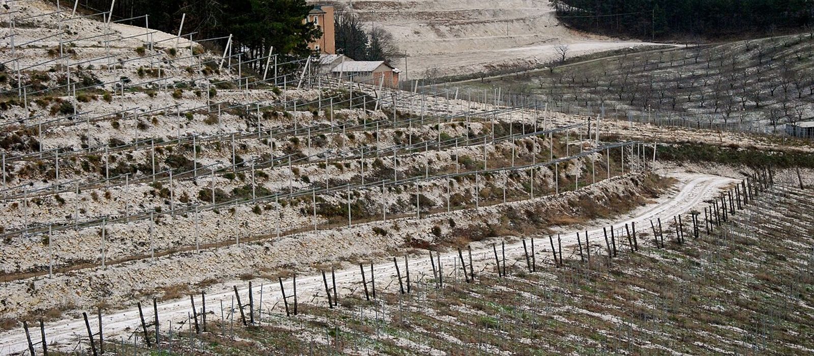Cantine Aperte 3