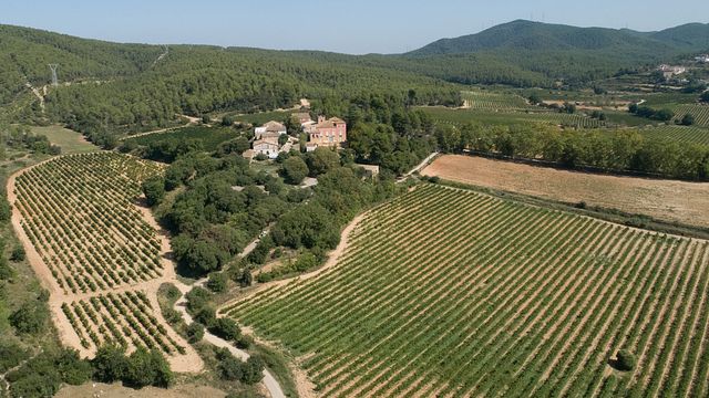 Cata de vinos y visita guiada en Casa Ravella