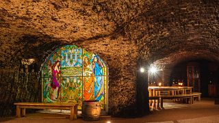 Cata de vinos en la bodega Gotz
