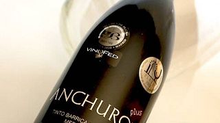 Anchurón Winery