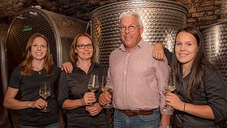 Vineyard Hike & Wine Tasting in Lower Austria