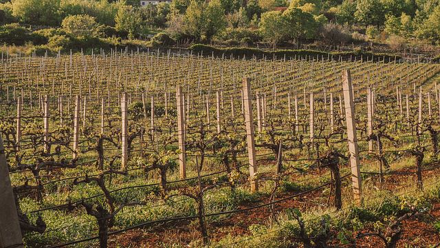 2 Day Herzegovina Wine Tour