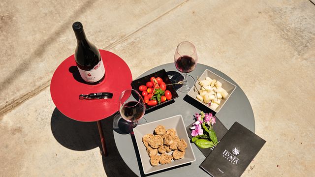 Weinprobe und Tour im Weingut Idaia