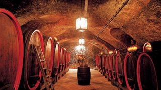 Franken Wine & Dine: Cellar Tasting at Weinhaus