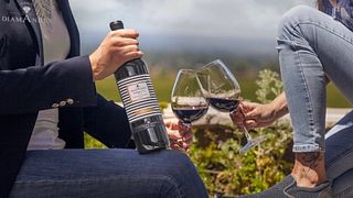 Premium Wine Tasting and Tour at Bodega DiamAndes