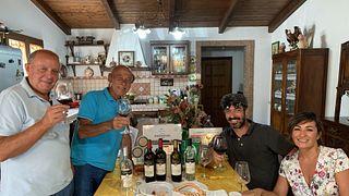 Cata de vinos y visita guiada a Tenuta Celimarro