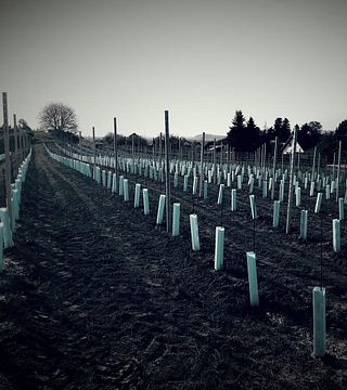 Winery DI Johanes Stuttner