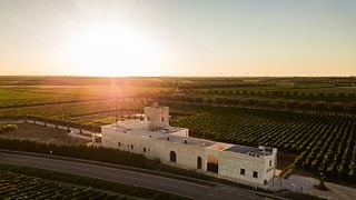 Sunset dinner among the Torleanzi vineyards