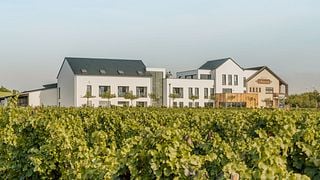 Sauerweins Weingut