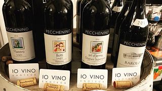 Pecchenino winery & search for truffles