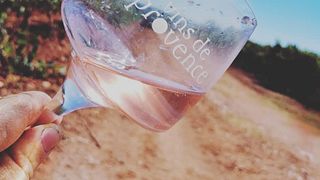Cata de vinos y tour en Domaine De L'Allamande