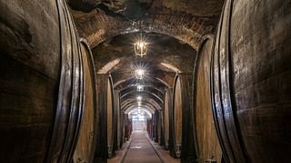 Almuerzo | Cata de vinos y visita guiada en Fattoria Della Talosa
