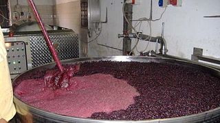 Degustação de vinhos e tour em Sant'Agnese