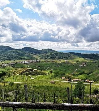Degustazione di vini in cantina a Jindrovo Vinarstvi
