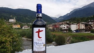 Tiberio Winery