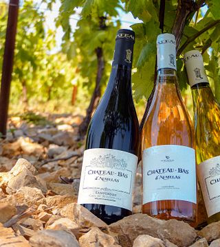 Cata de vinos y visita al Château Bas d'Aumelas