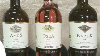 Cantina Ortenzi