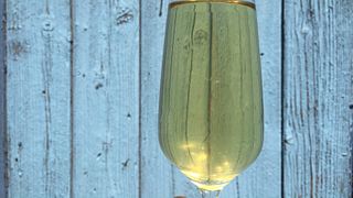 Organic and Biodynamic Wine Tasting
