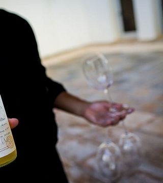 Cata de vinos y tour en Bodega Alpamanta