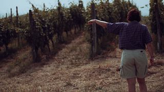 Piedmont Vegan Wine & Vineyard Tour at Gringhigna