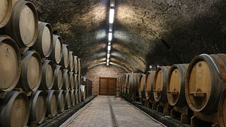 Cata de vinos en Villa Tolnay Borhaz