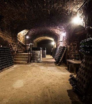 Dégustation de vins et visite à Fermí Bohigas