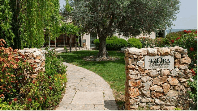 Familiarizzare con i vigneti terrazzati
