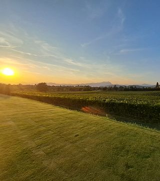 Tenuta La Cà: A Modern Winery in Veneto