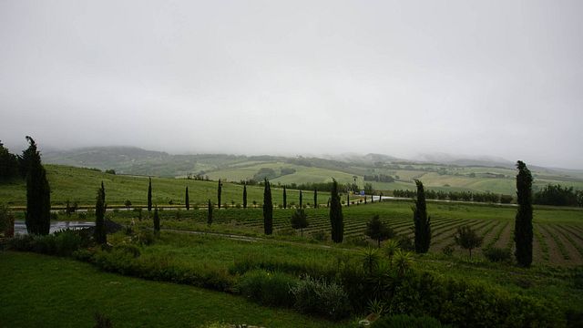 Terredicreta Winery