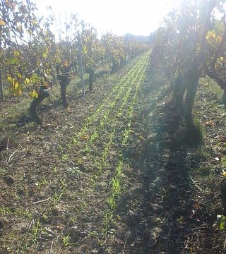 Domaine de la Gauterie