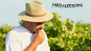 Dégustation et visite de vins chez Fabio Ferracane