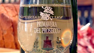 Visite guidée du Prosecco Docg de Valdobbiadene