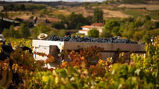 Bodegas Ismael Arroyo-Valsotillo