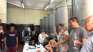 Deguste os vinhos e visite a vinícola | Celler Gritelles