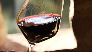 Weinprobe und Tour bei Usiglian del Vescovo