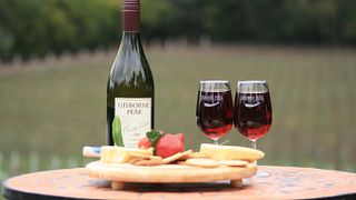 Degustação de vinhos populares e tour na vinícola Gisborne Peak